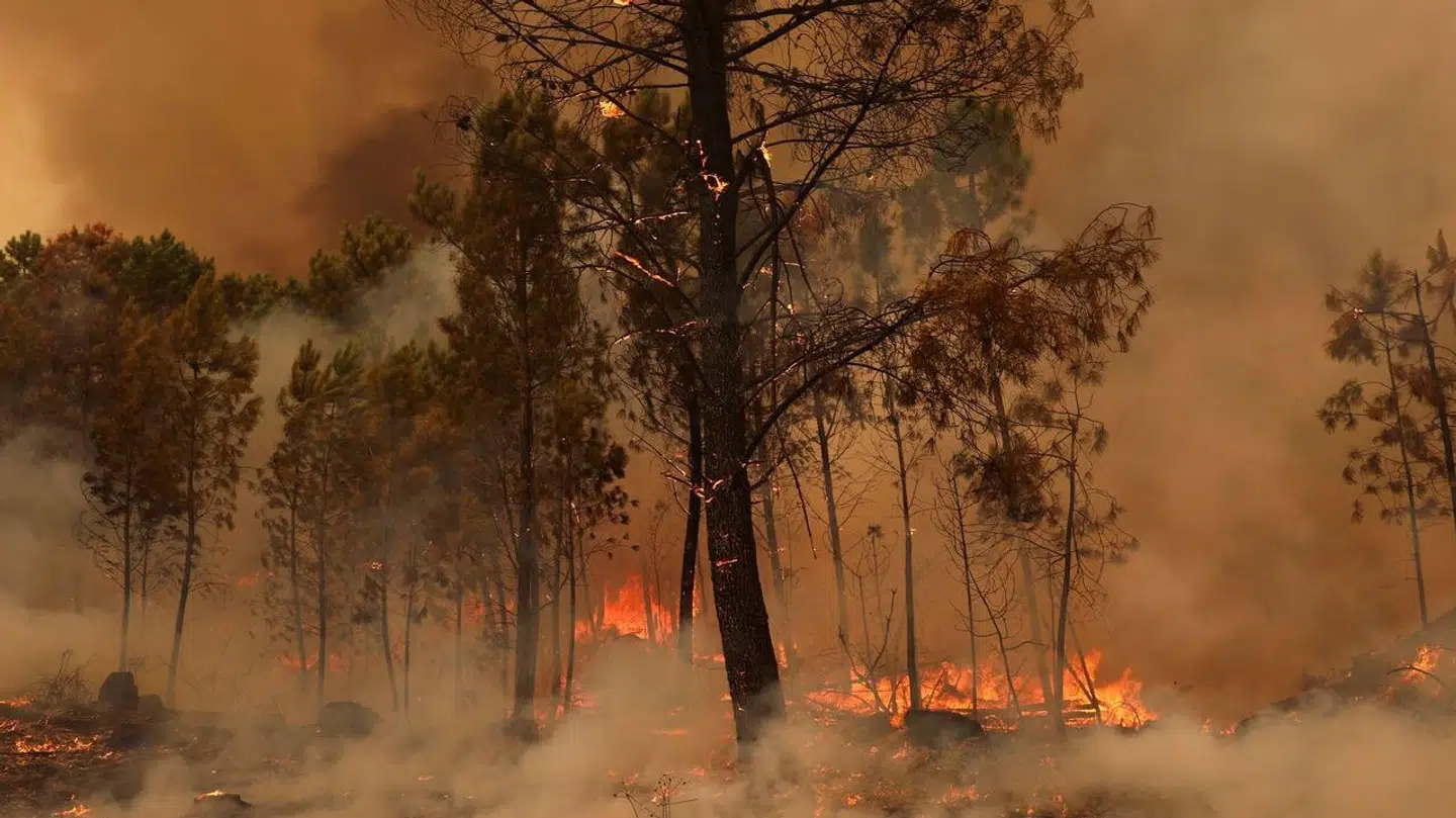Brandene har i flere dage hærget den nordlige del af Portugal – nu er landet i undtagelsestilstand.