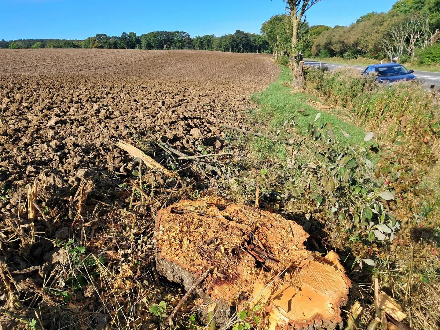 Sagen er blevet anmeldt til politiet som hærværk og tyveri.