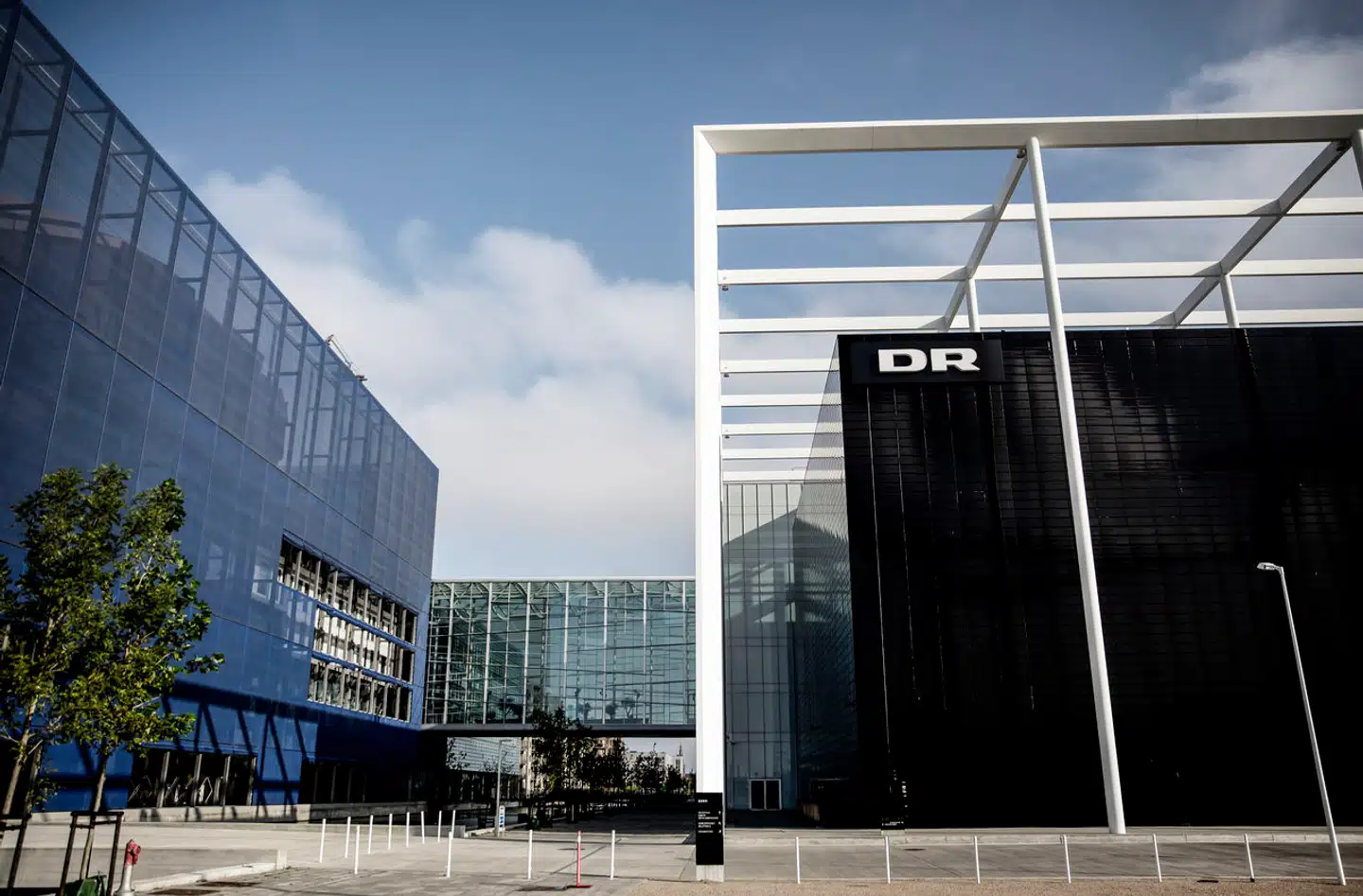 Musikeren Kalle B. håber, at »DR vil gribe muligheden for at understøtte den samlede børnemusikscene, ved at åbne for et bredere udsnit af stemmer, så vi i samarbejde kan repræsentere et bredere billede af den skønne musik, som allerede skabes for børnene.«