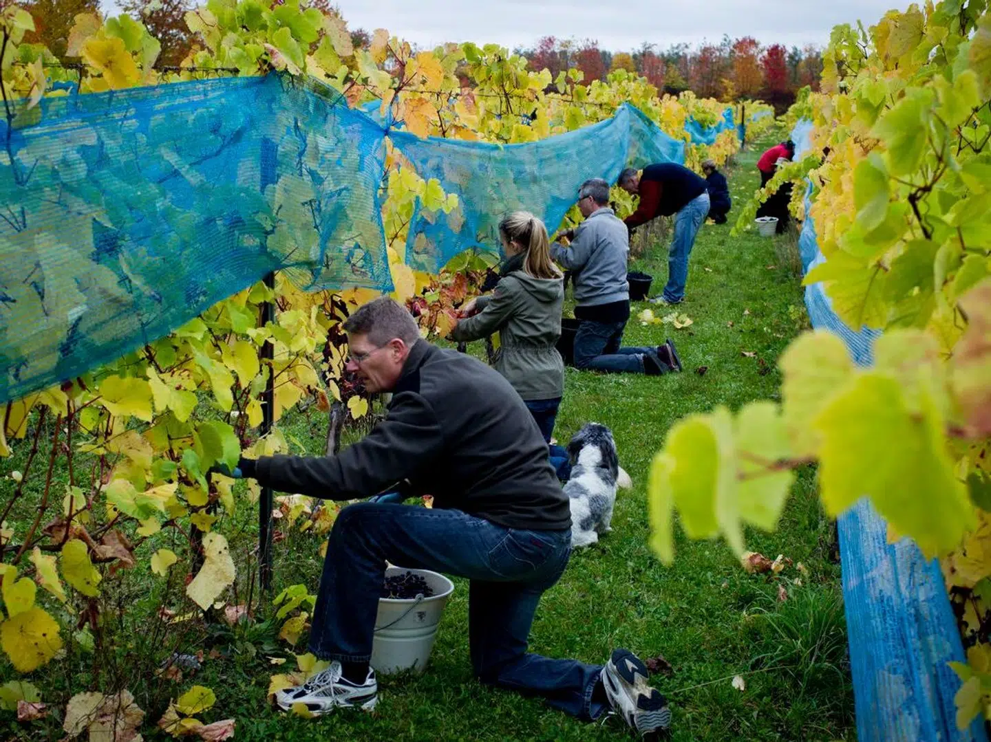 Når du deltager i dagens quiz, er du samtidig med i lodtrækningen om en præmie.