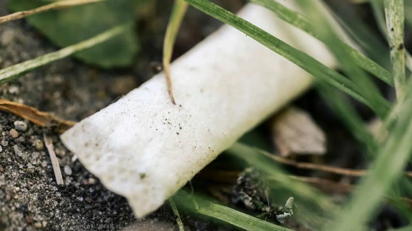 Brugte snusposer, der ligger og flyder, kan være farlige for børn og hunde.