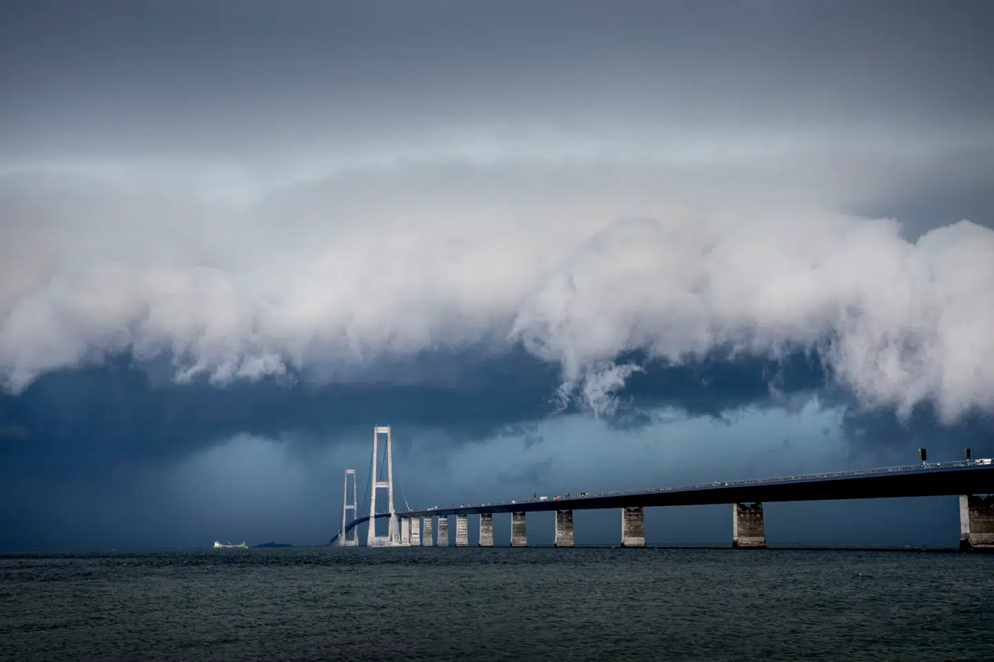 »Det er uansvarligt og en fejl at tro, at statslig og privat investering i vindmøller og solceller alene kommer til at redde os fra klimakrisens konsekvenser.«