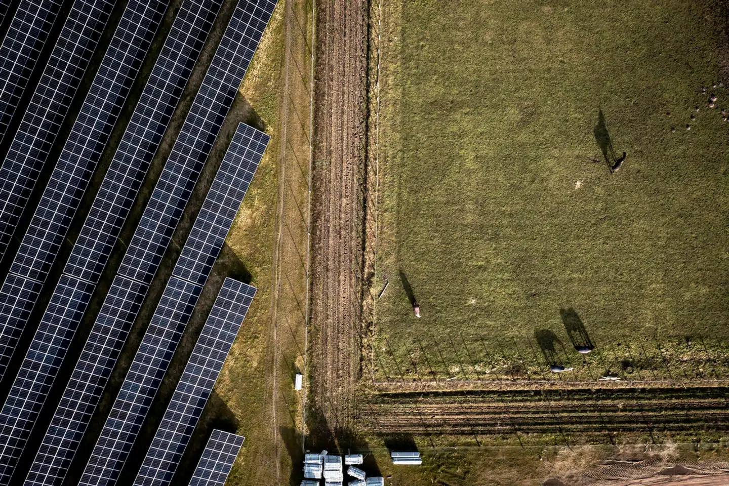 Solcelleanlæg i Hjolderup vest for Aabenraa. Arkivfoto: Mads Claus Rasmussen, Scanpix