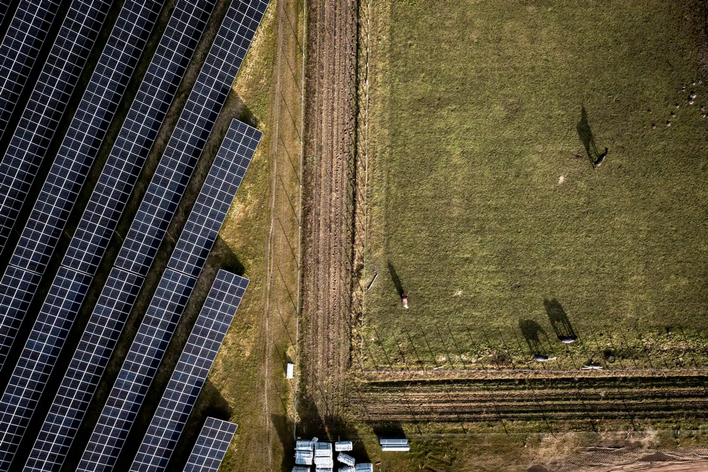 Solcelleanlæg i Hjolderup vest for Aabenraa. Arkivfoto: Mads Claus Rasmussen, Scanpix