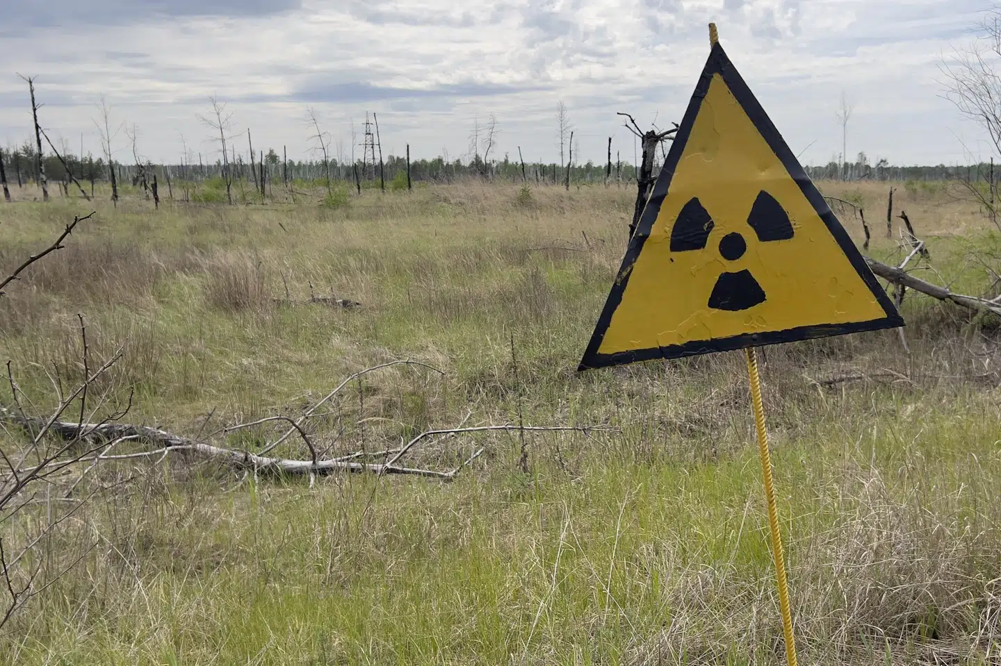 Det lukkede atomkraftværk Tjernobyl ligger nord for Ukraines hovedstad, Kyiv, og er ikke længere aktivt, efter at det i april 1986 eksploderede efter en række fejl begået af de ansvarlige for værket. (Arkivfoto).