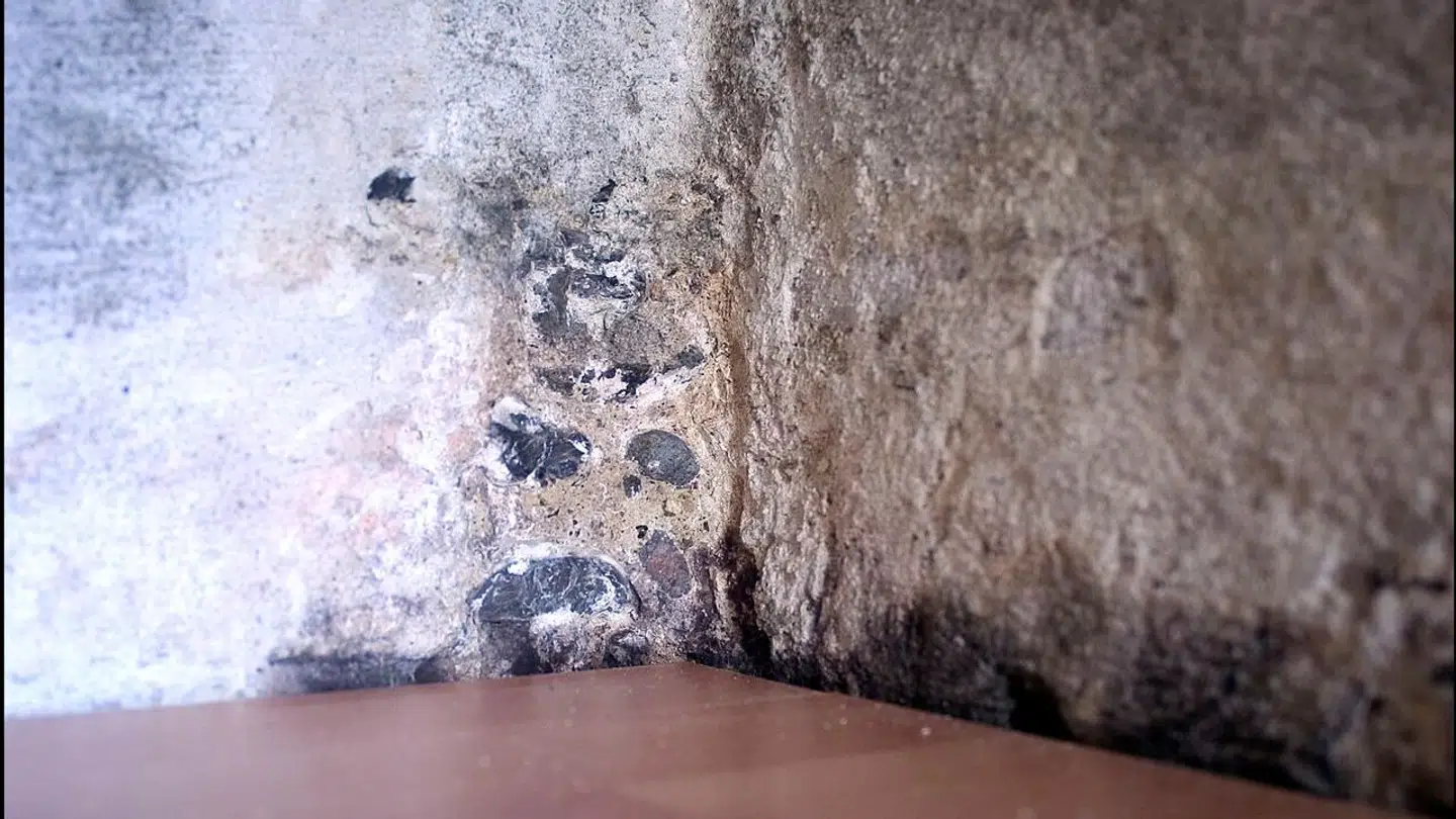 Fugt i en kælder kan fjernes med ventilerede gulve.