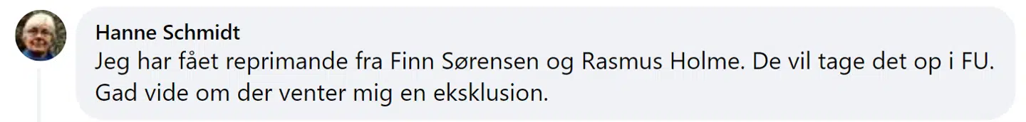 Her ses Hanne Schmidts kommentar på Facebook, hvor hun skriver, at hun har fået en reprimande fra to ledende skikkelser i Enhedslisten.