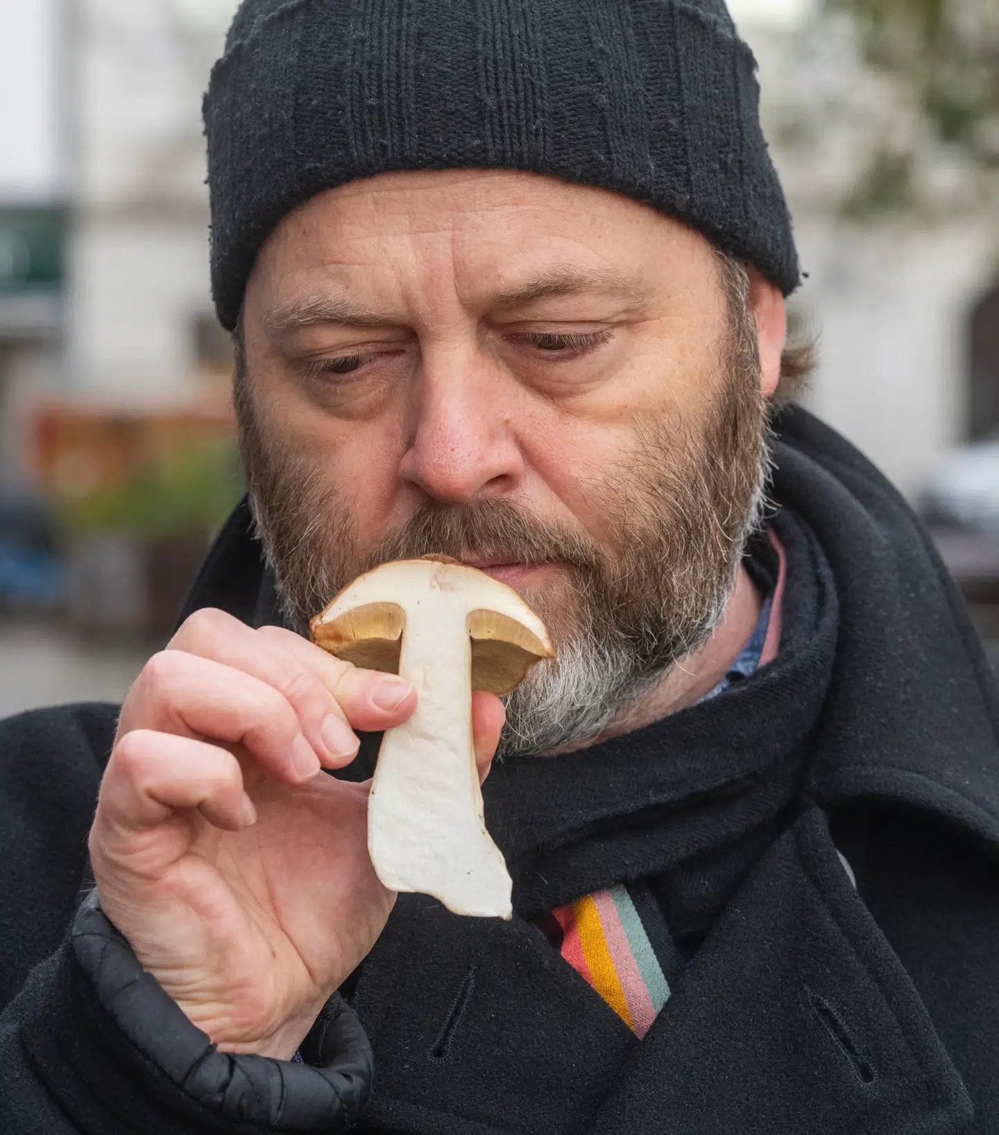 Søren Jacobsen Damm, Berlingskes gastronomiredaktør, ser nærmere på en af efterårets bedste råvarer
