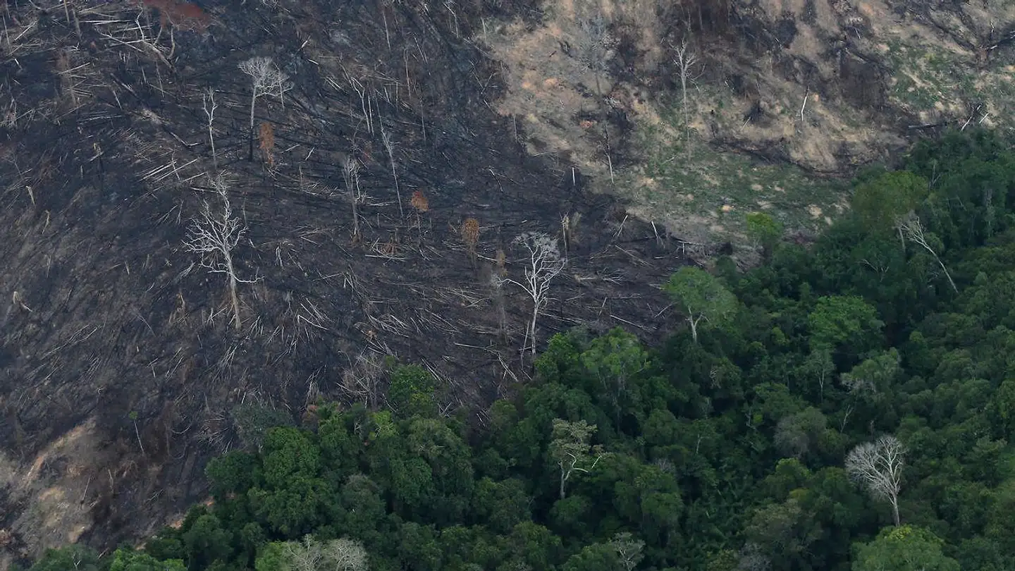Luftfoto af et område ryddet af bønder.