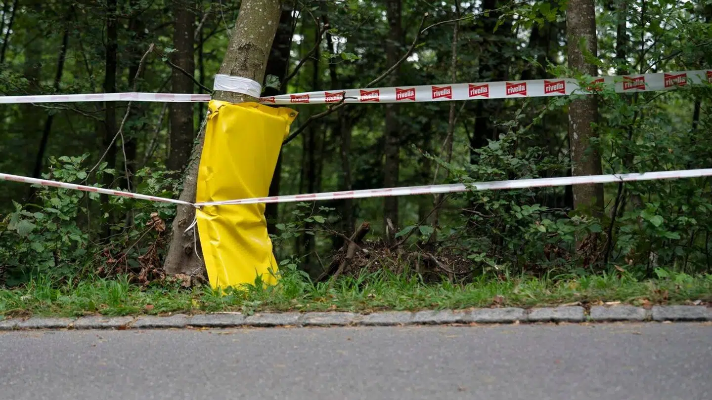 Ulykken skete på en nedkørsel ved Küsnacht tæt på Zürich.