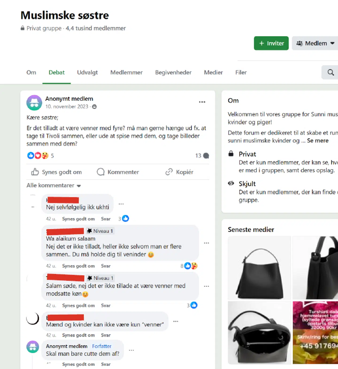 Må en muslimsk pige være venner med drenge? Ikke ifølge et kommentarspor i en lukket FB-gruppe.