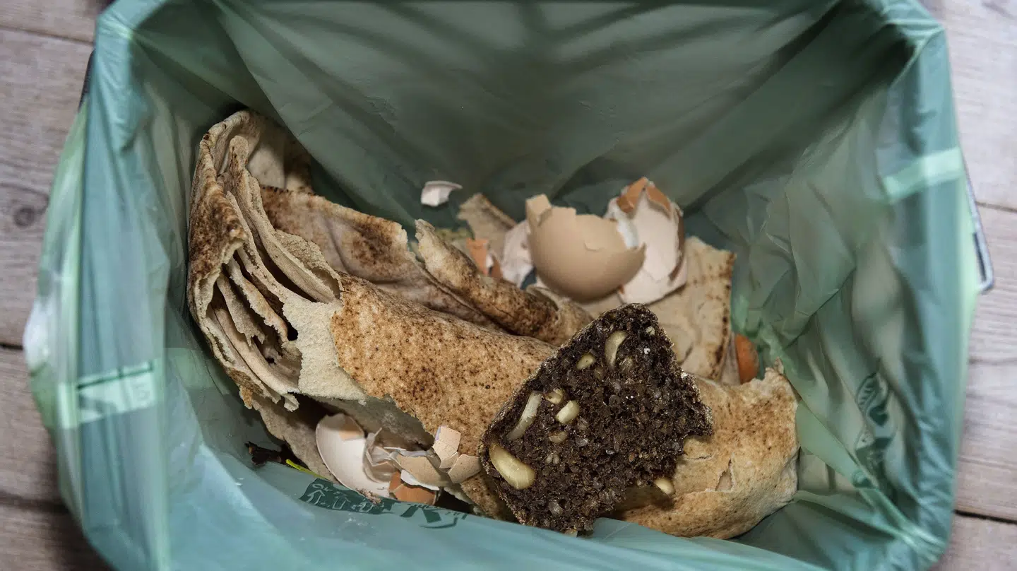 En ny rapport fra Københavns Universitet sætter fokus på danskernes vaner, når det gælder madspild. Liselotte Sabroe/Ritzau Scanpix