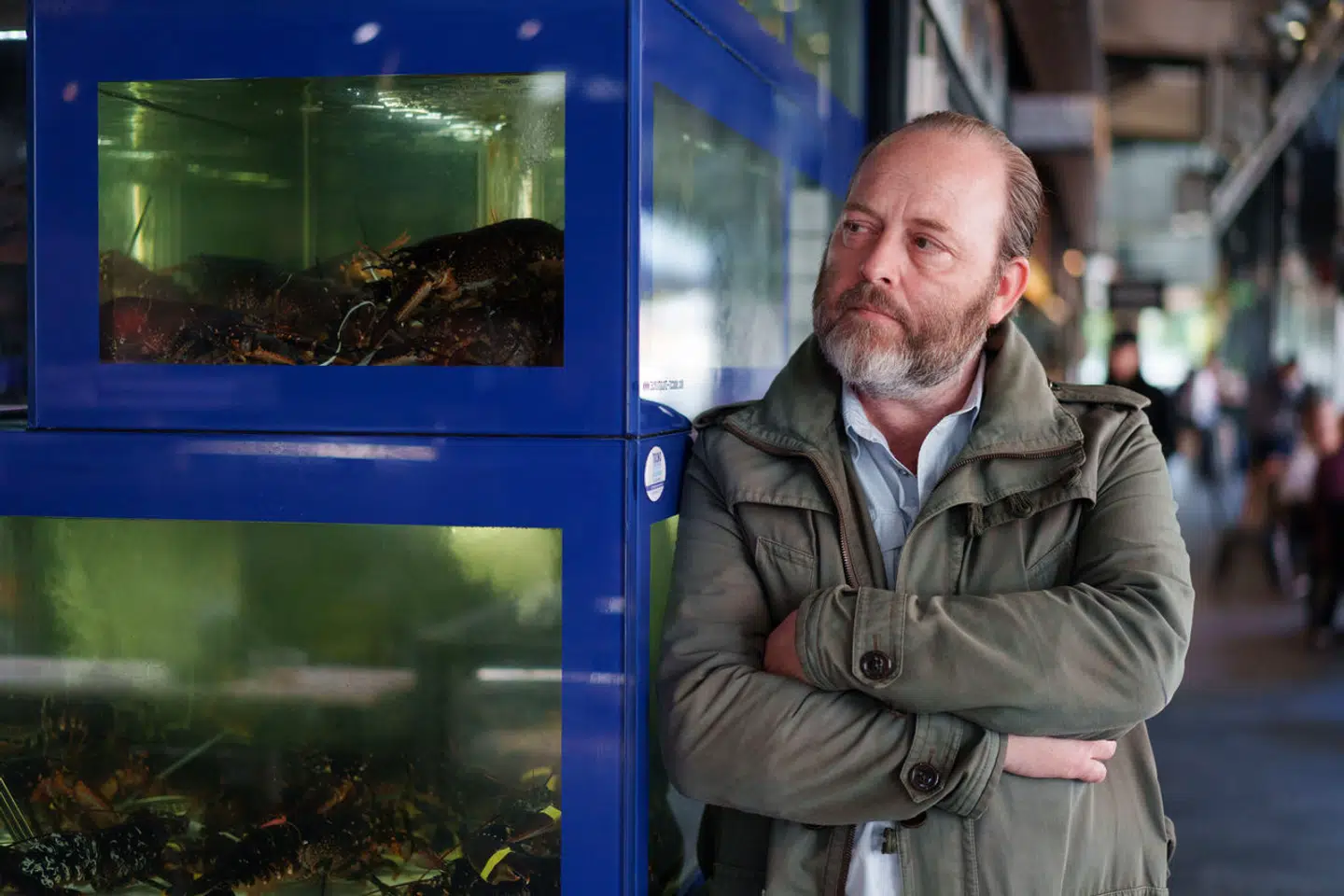 Berlingskes gastronomiredaktør, Søren Jacobsen Damm, ved hummertanken i Torvehallerne i København. Dansk hummer er i øvrigt i sæson lige nu og er bedst ved en vægt på 600-700 gram.