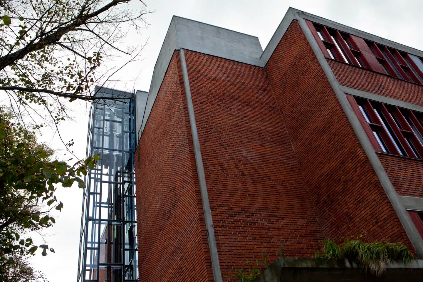 Et længere forløb har resulteret i, at tre ledere og en tillidsrepræsentant er sendt hjem på Blågård Skole i København.