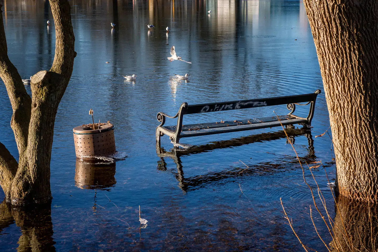 I perioden 2009 til 2021 har vi bygget mere i områder, som er i risiko for at blive ramt af oversvømmelse, end i områder uden risiko for oversvømmelse, anslår økonomiske vismænd. Foto: Bax Lindhardt, Scanpix