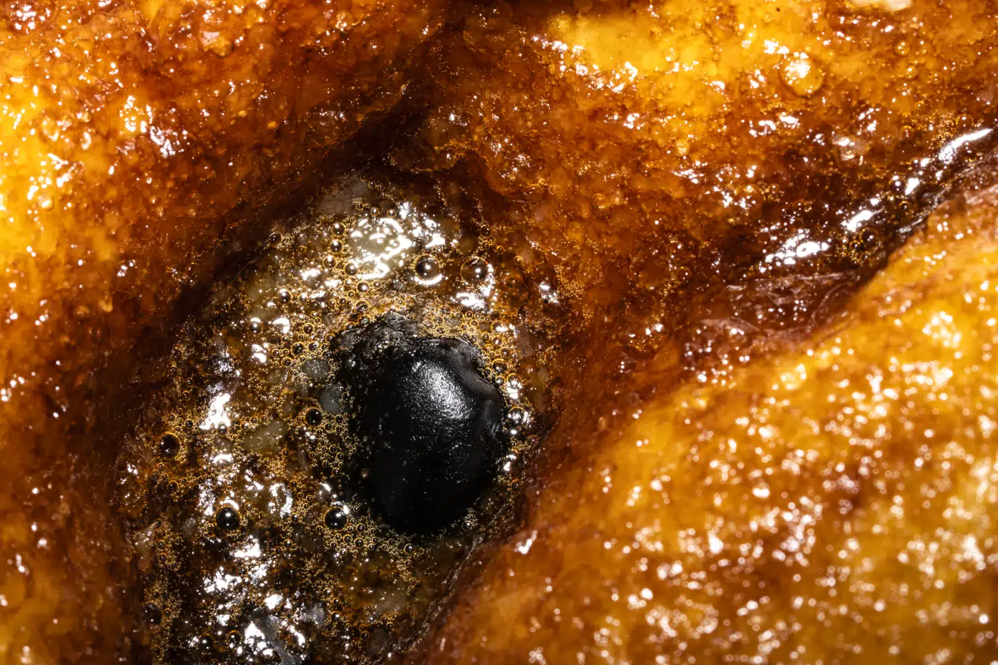 Arkivfoto: Mads Claus Rasmussen, Scanpix.