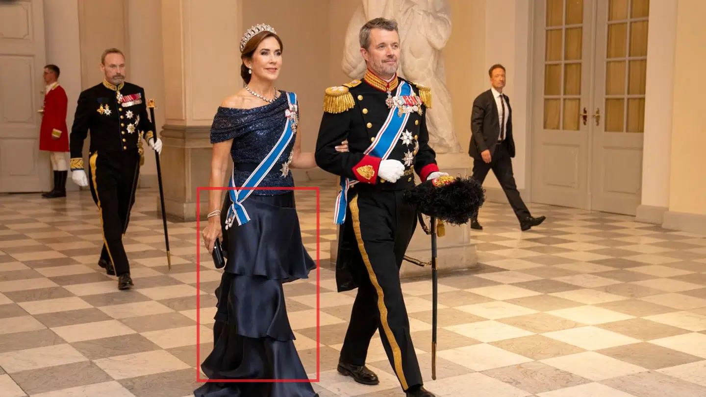 Dronning Mary hyldes for sit kjolevalg til tirsdagens gallataffel.