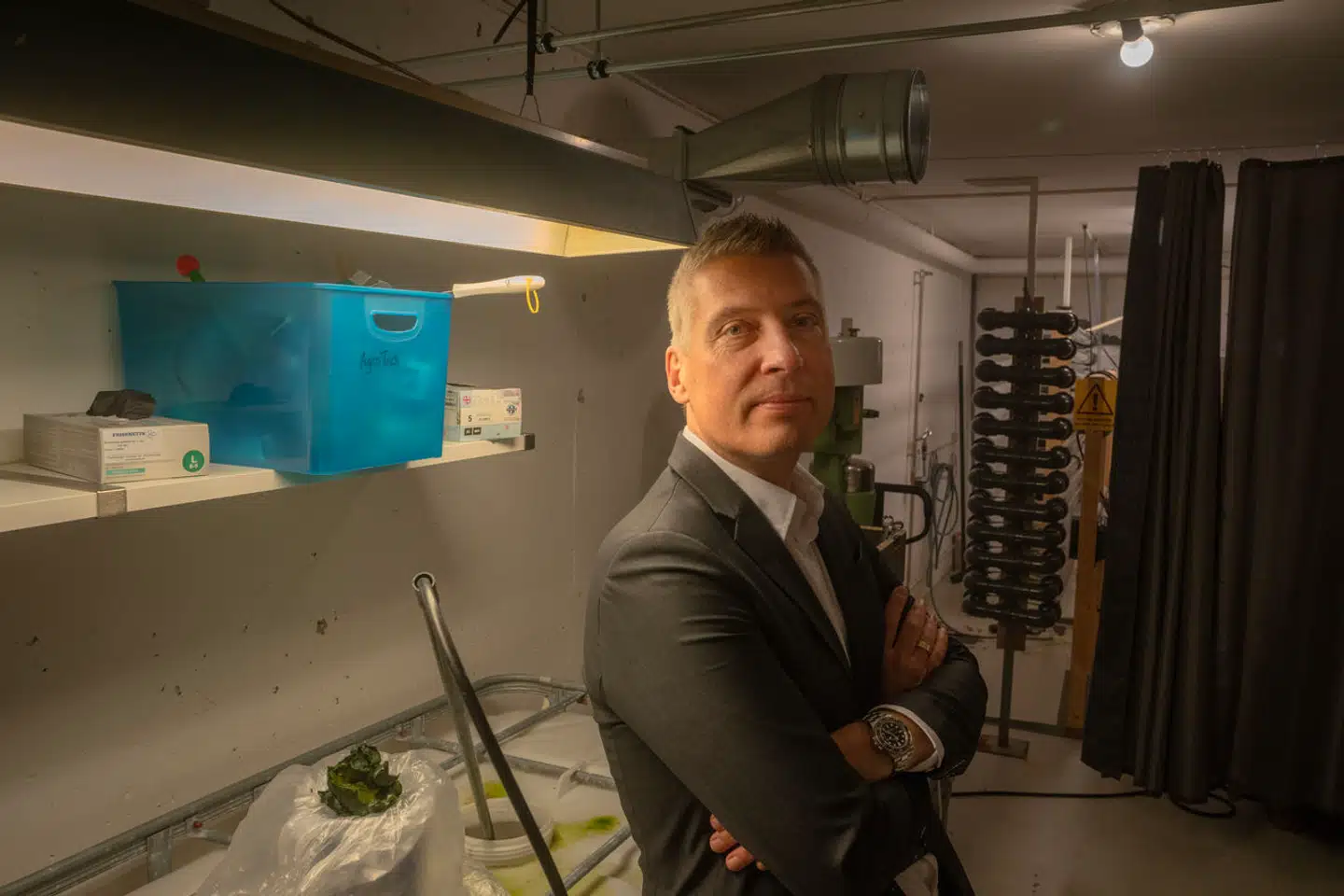 Algiecel laver sunde fedtsyrer, som indgår i fiskeolie, men uden skyggen af en fisk, fortæller administrerende direktør og stifter Henrik Busch-Larsen.