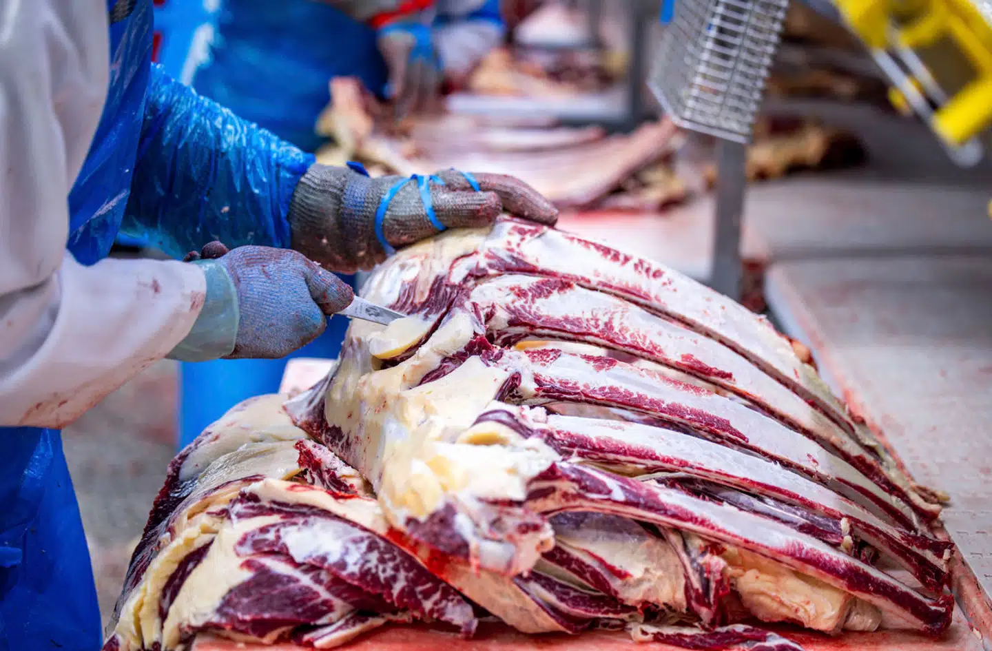 Danish Crown vil fyre 500 ansatte for at »styrke lønsomheden«. Arkivfoto: Jens Böttner/AP/Ritzau Scanpix