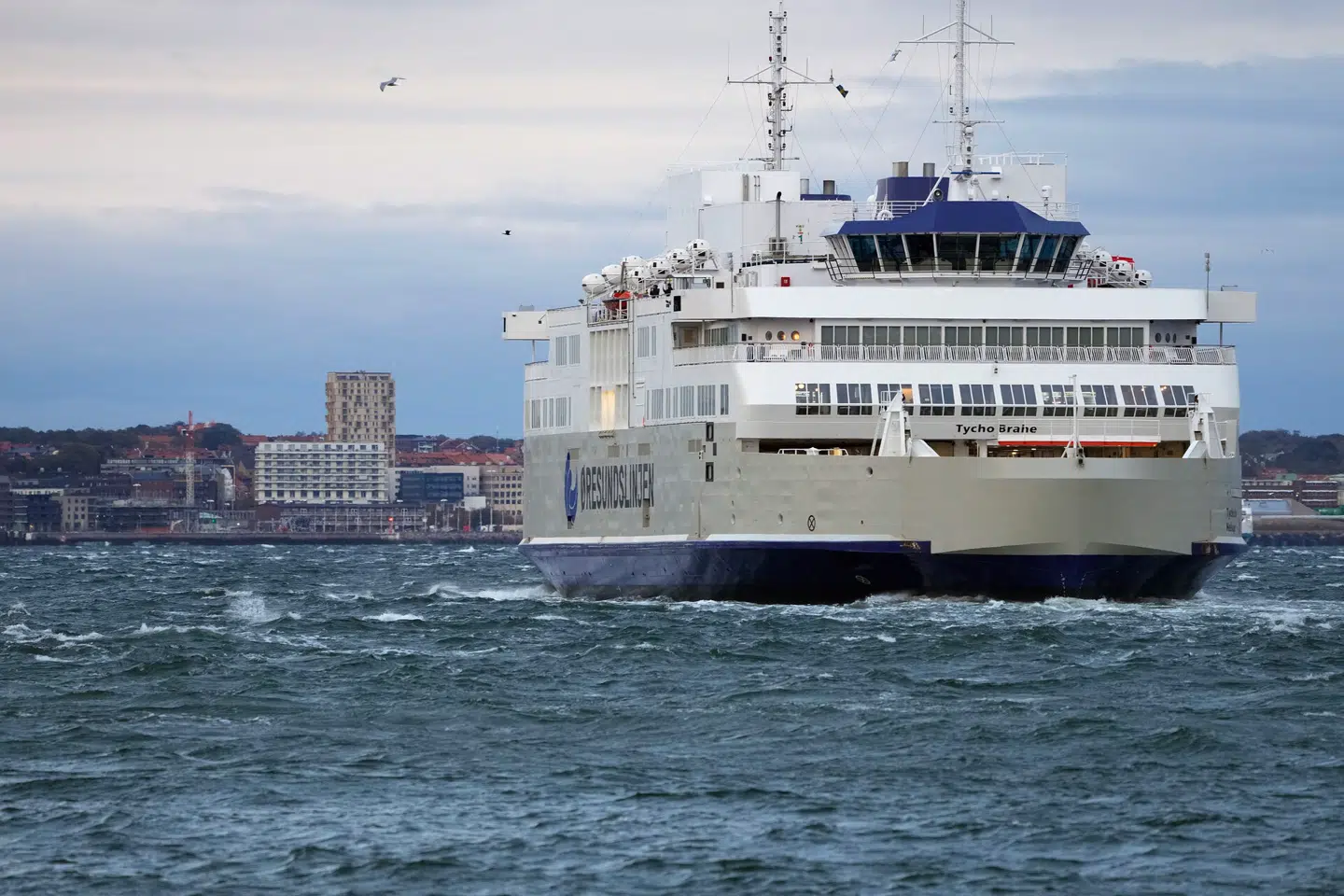Tidligt mandag morgen bragede færgen »Aurora« ind i færgelejet ved Helsingør Havn. Arkivfoto.