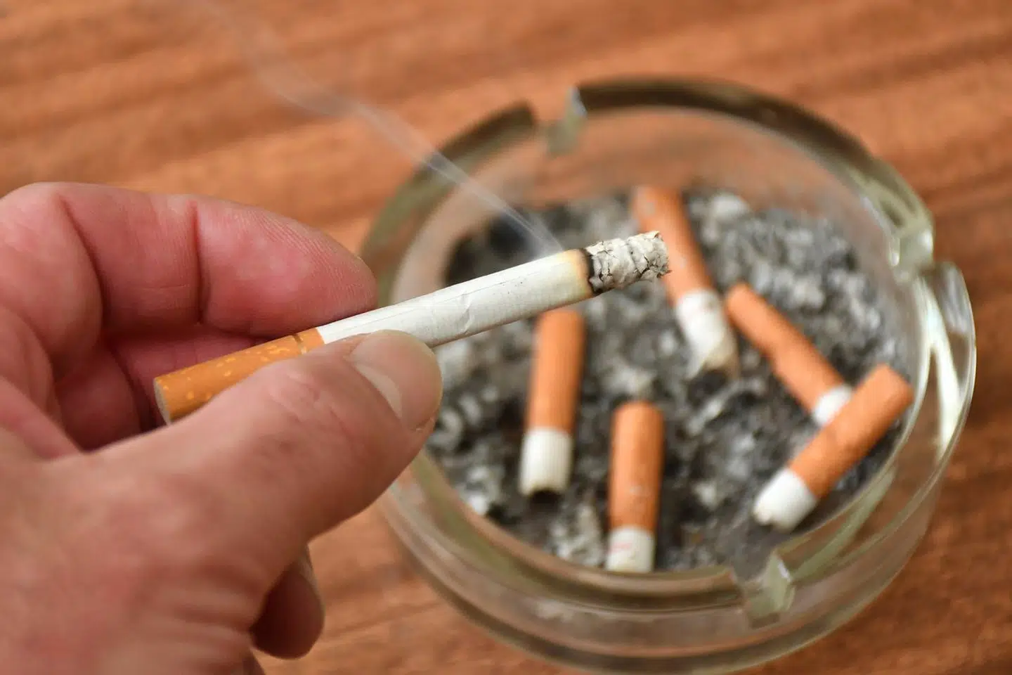 Arkivfoto: Petr Svancara, Scanpix