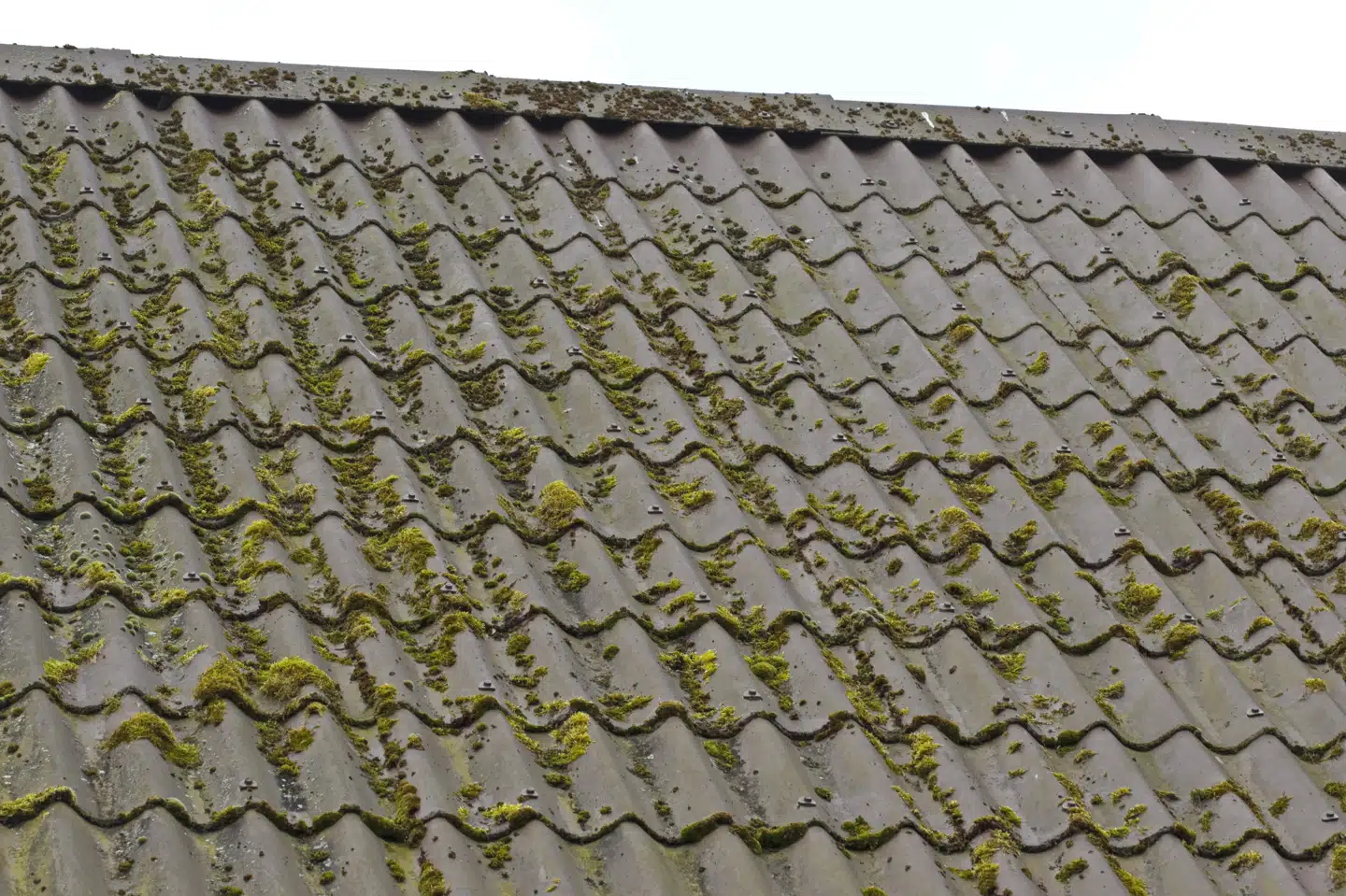 Asbest er blevet brugt til blandt andet eternittag, men i dag er det forbudt at fremstille, importere og anvende asbest. Samtidig er reglerne skrappe for at arbejde med asbestholdige materiale. Dem har en vestsjællandsk virksomhed ikke overholdt på en ejendom i Sønderborg. (Arkivfoto).