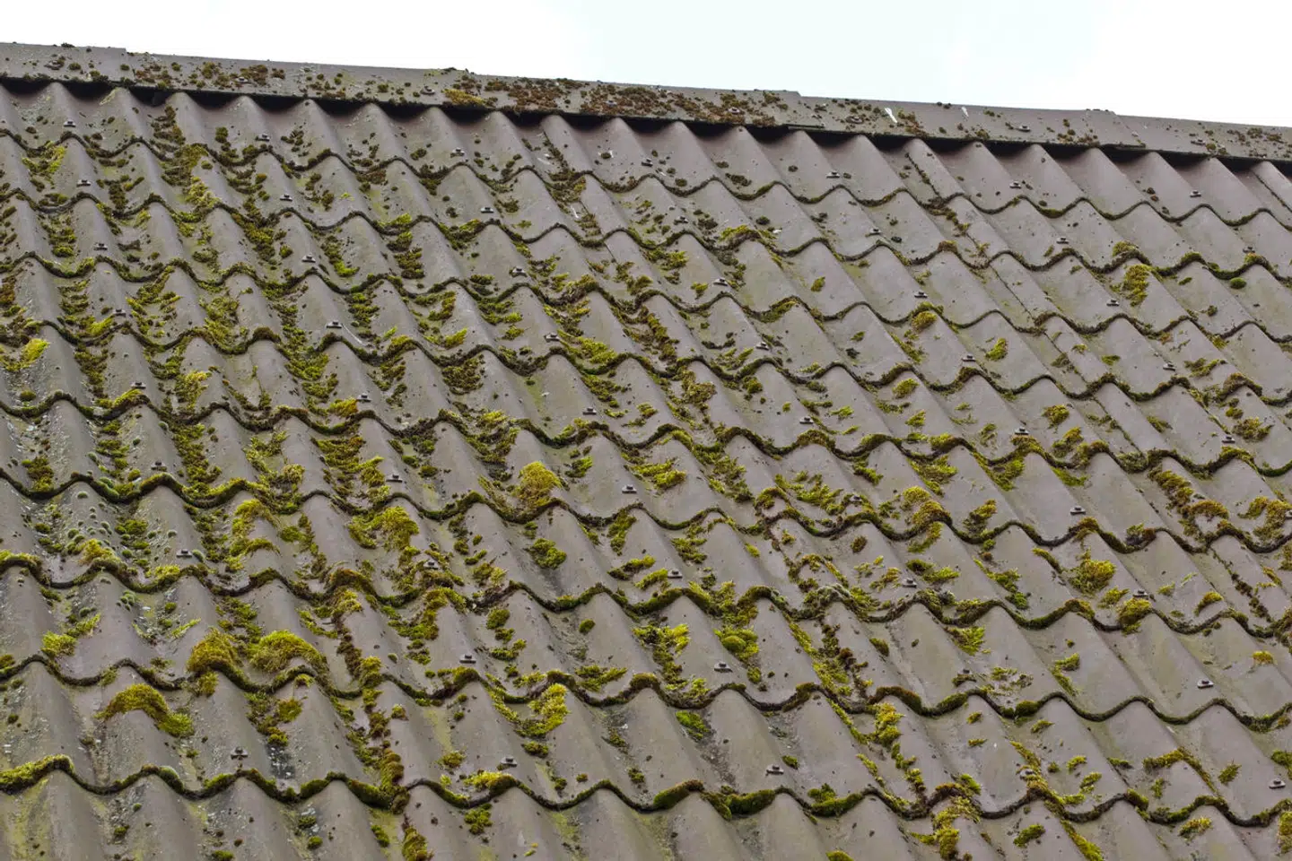 Eternittag lavet af asbest. Arkivfoto: Johnny Madsen, Scanpix