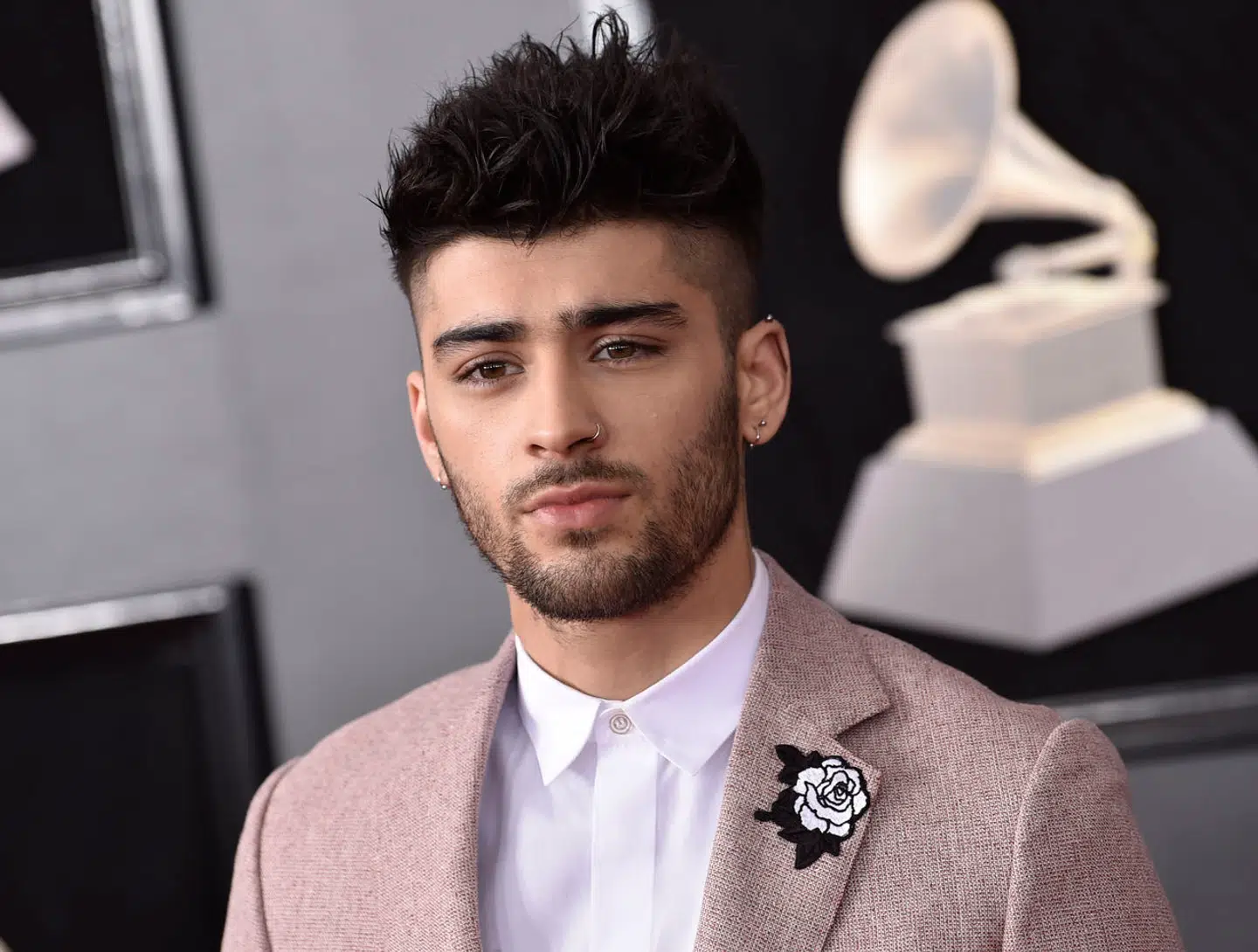 Det tidligere One Direction-medlem Zayn Malik aflyser sin »Stairway to the sky«-turné.