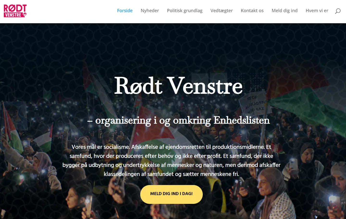Rødt Venstres hjemmeside, antikapitalister.dk.