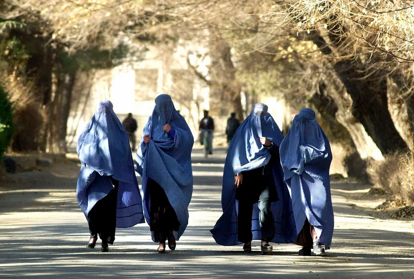 »Kampen for kvinderettigheder er en kamp for menneskerettigheder, for demokrati. Den synes vigtigere at kæmpe for nu end i flere årtier, og det er en kamp, der angår os alle uanset vores baggrund og køn,« skriver Rikke Viemose.