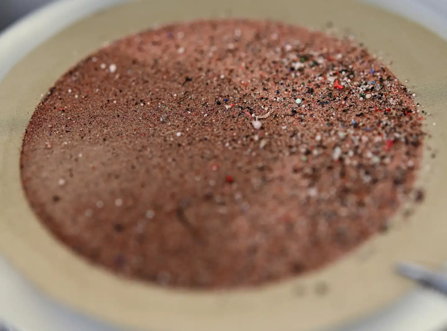 Mikroplast sniger sig ind mange steder i både naturen og menneskekroppen - men trænger det også ind i hjernen? Arkivfoto: Arne Dedert, Scanpix