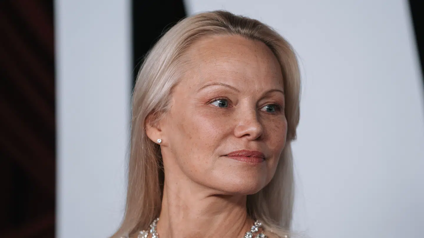 Pamela Anderson kommer til at gøre det fremragende i den kommende film, lyder det fra Liam Neeson.