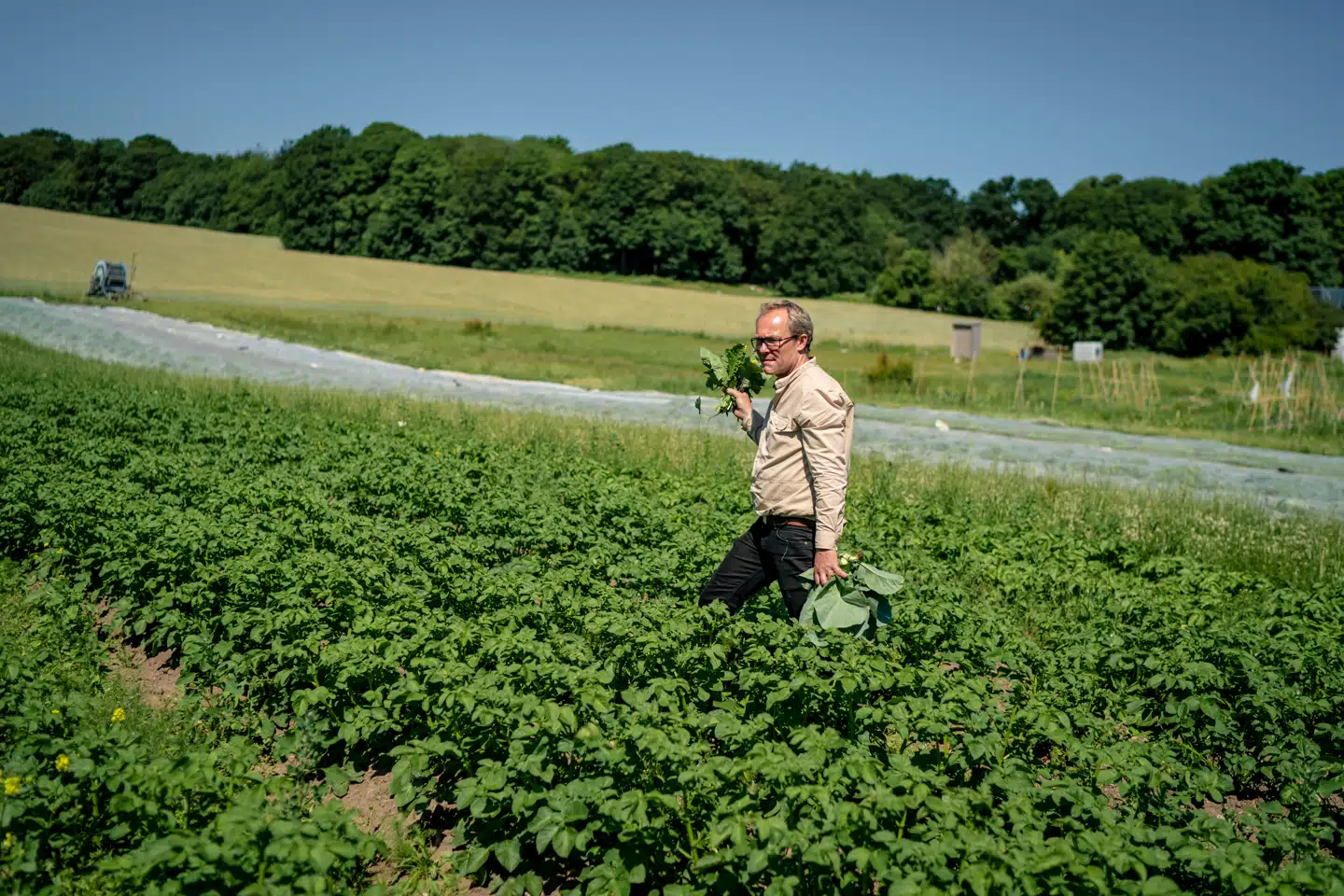 Søren Ejlersen, en af grundlæggerne af Aarstiderne, var med til at starte virksomheden i 1999.