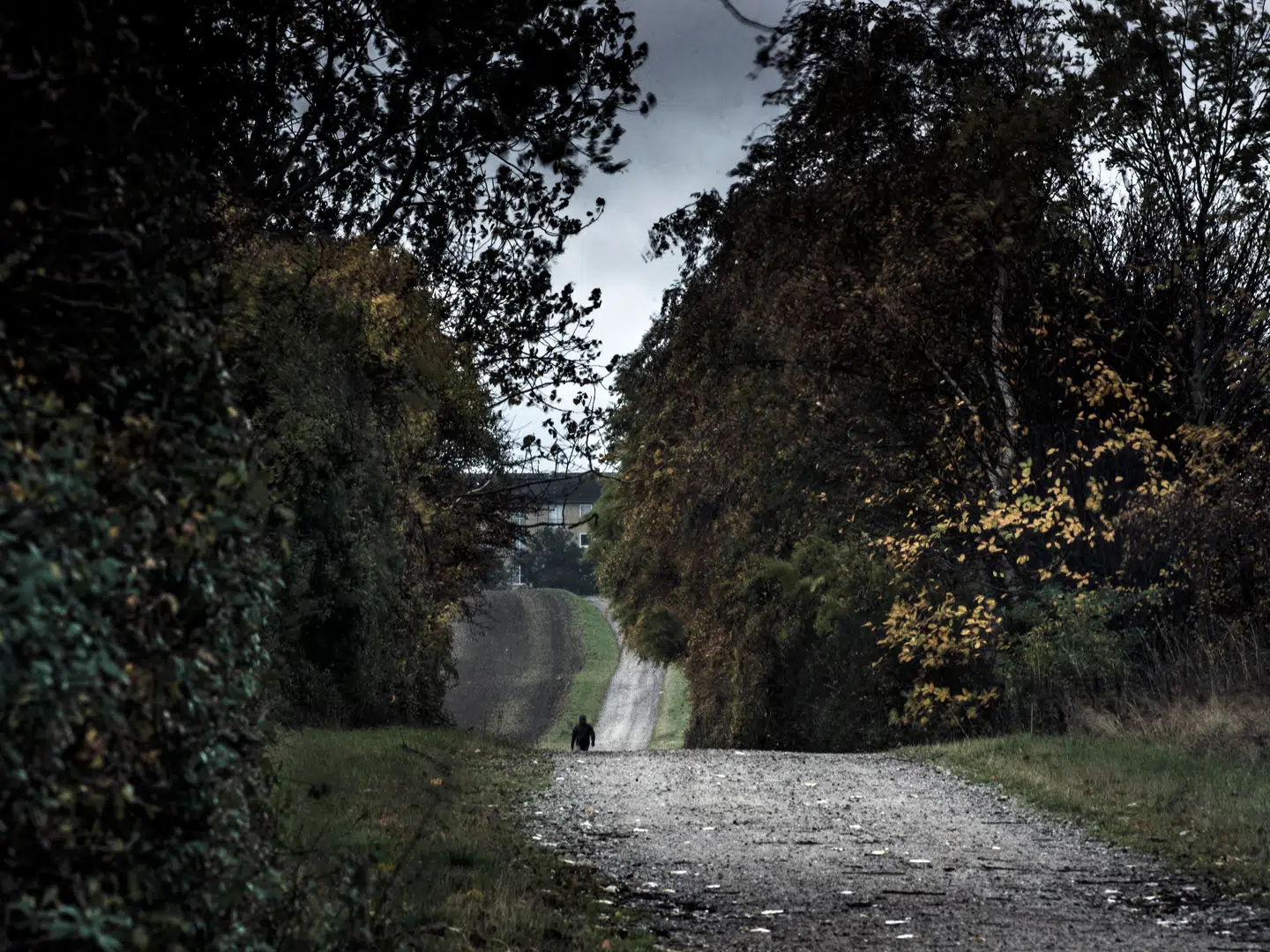 Området omkring stien, der går fra Korsør Station. Det var på denne sti, at Emilie Meng fortalte sine veninder, at hun ville gå hjemad.