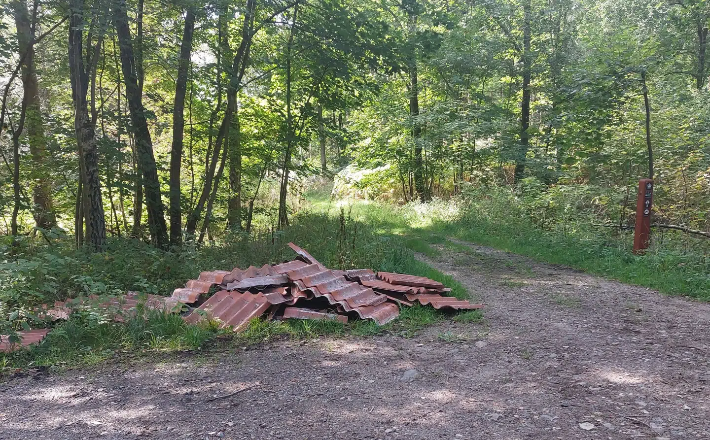 Giftigt byggeaffald dumpet i Gribskov.