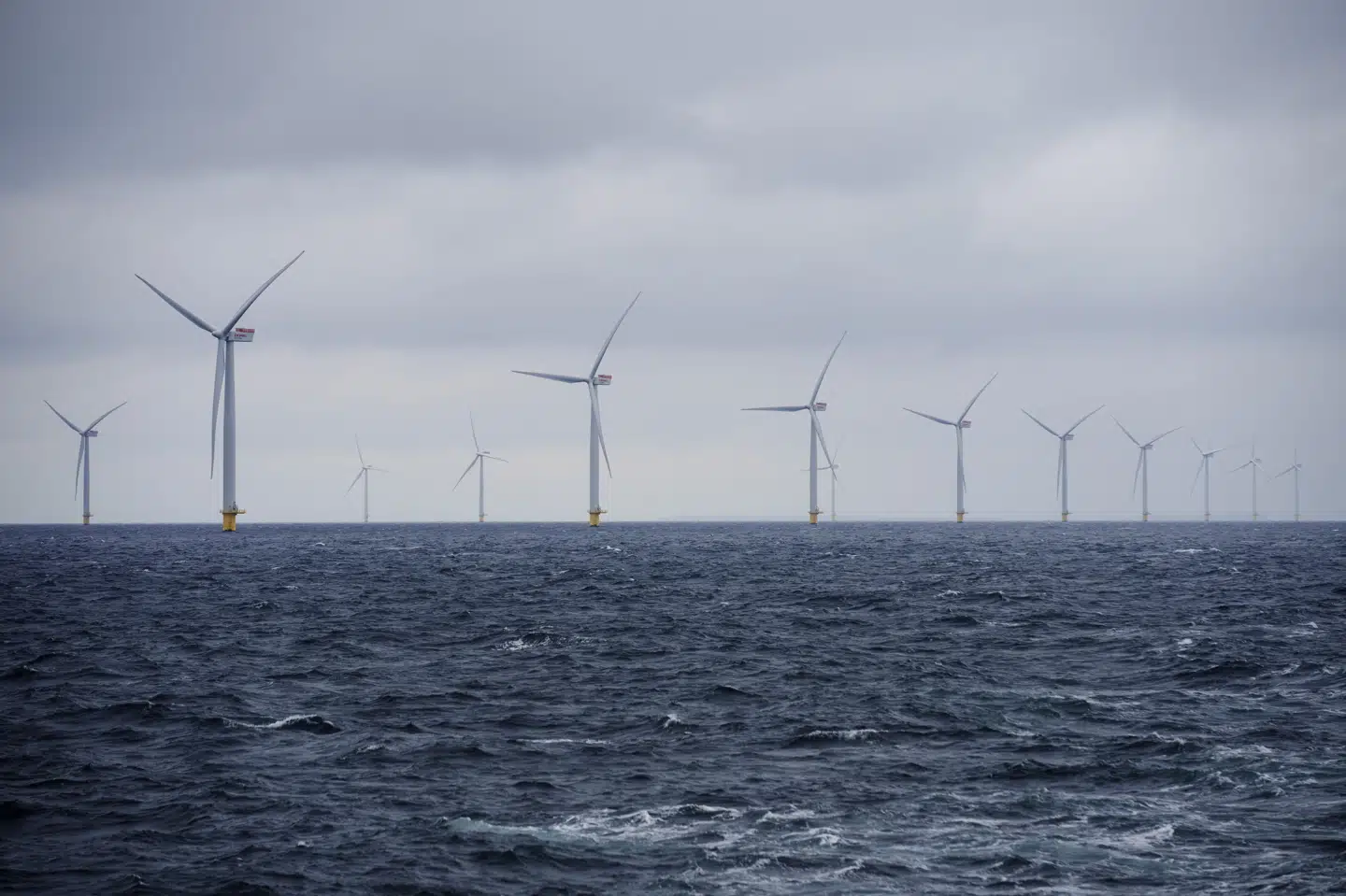 Byggeriet af Thor Havvindmøllepark har fået endeligt grønt lys. Her ses havvindmølleparken ved Anholt, som stod færdig i 2013. (Arkivfoto).