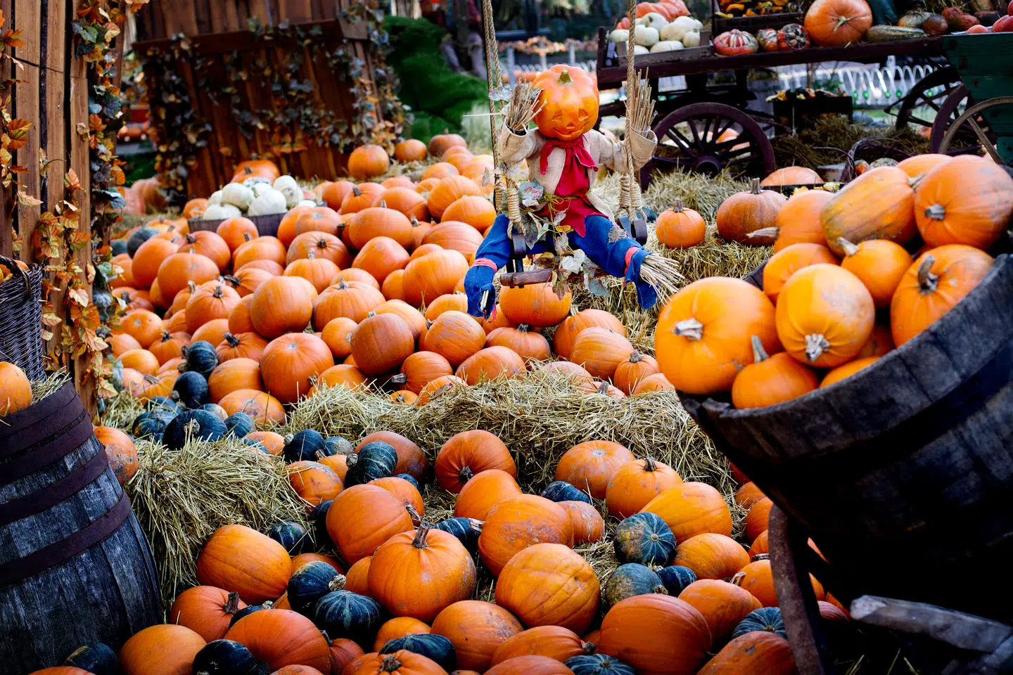 Græskarret er dybt forankret i halloween-traditionen og symboliserer beskyttelse mod det onde.