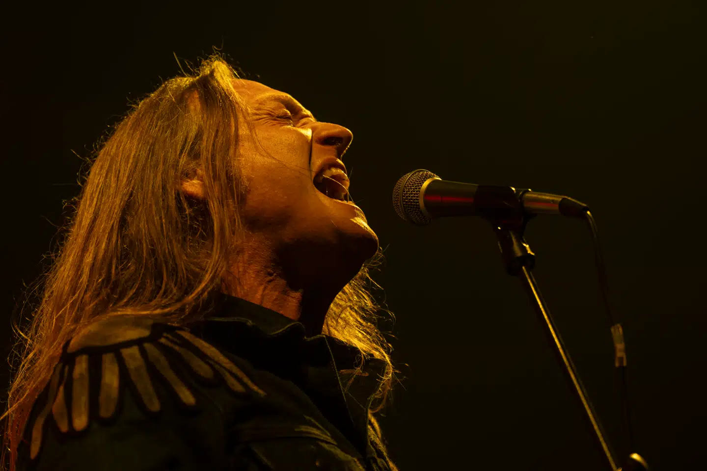 Jesper Binzer og resten af D-A-D var én stor ernergiudladning, da bandet spillede 40 års jubilæumskoncert i Royal Arena fredag aften.