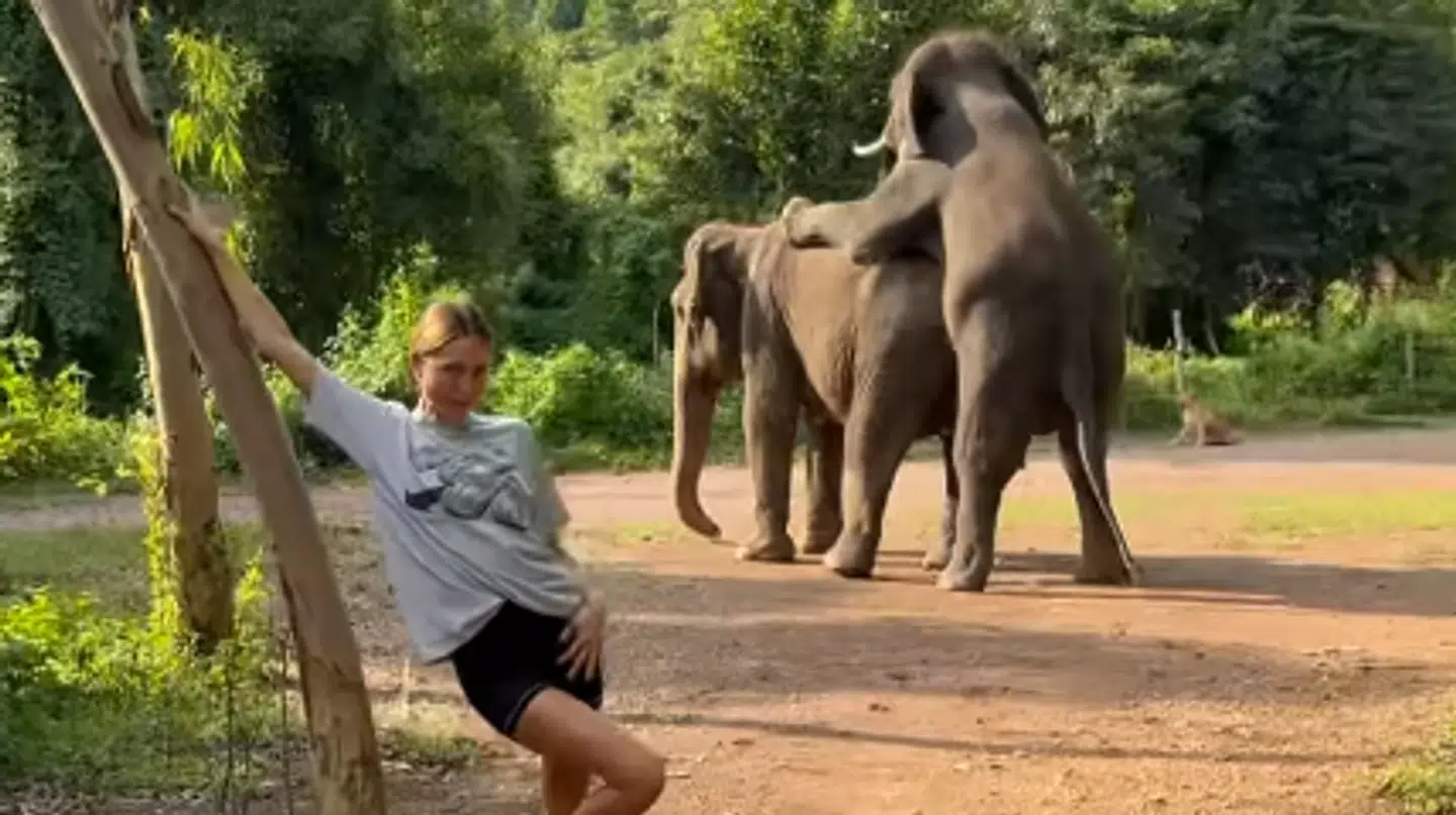 Prinsesse Maria-Olympia vækker opsigt med sit nye Instagram-opslag.