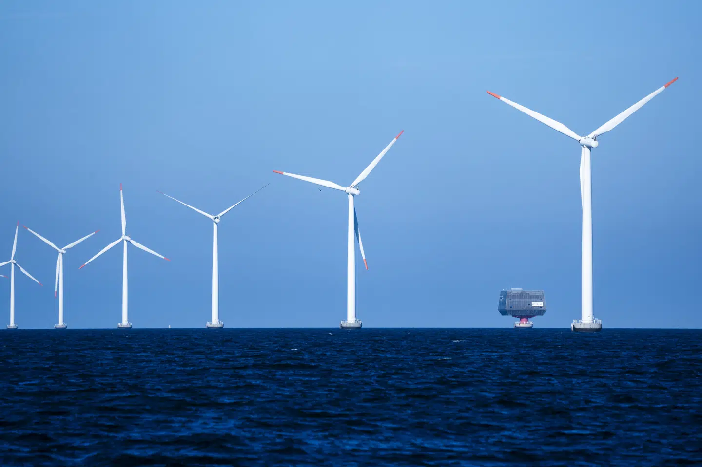 Mange vindmøller har ikke det store at arbejde med i dag, hvilket er med til at sende elpriserne op. (Arkivfoto).