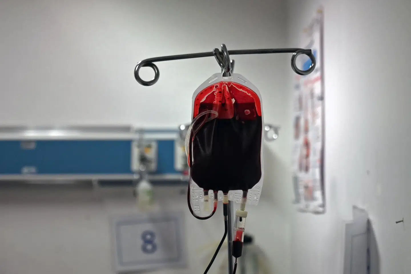 Det var ikke imod menneskerettighedskonventionens bestemmelser, da læger gav en dansk mand, som var medlem af Jehovas Vidner, en blodtransfusion, mens han var bevidstløs. Det har menneskerettighedsdomstolen tirsdag afgjort. (Arkivfoto).