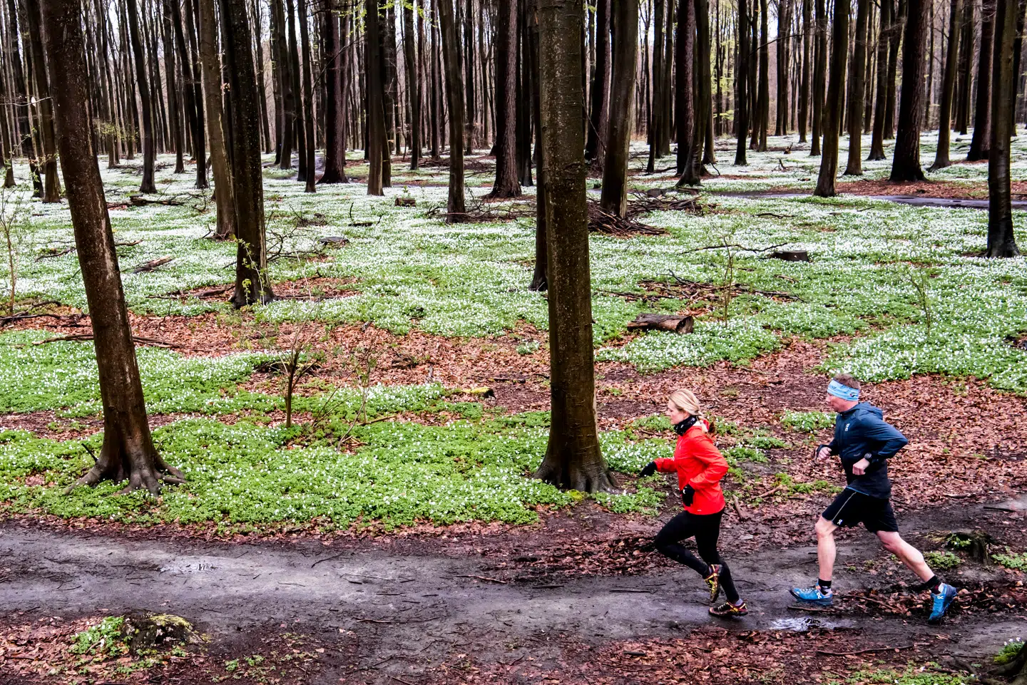 Et studie publiceret i britisk tidsskrift har fulgt 10.033 personer med en gennemsnitsalder på 51 år.