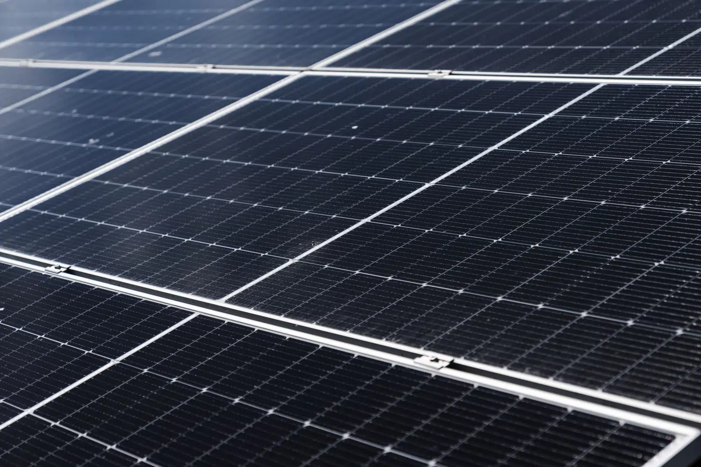 Udviklere har potentielt planlagt langt flere solcelleanlæg, end Danmark har behov for. Det påpeger professorer over for Jyllands-Posten. (Arkivfoto).