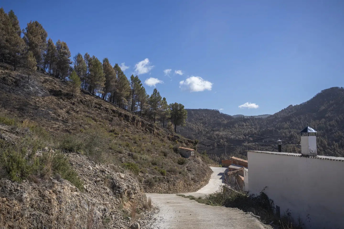 Det var i den spanske provins Valencia, at en munk blev fundet dræbt. (Arkivfoto).