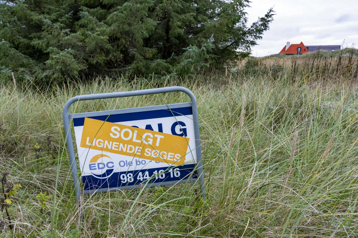 Husene bliver i dag udbudt til højere priser, end for et år siden. Samtidig tages flere af markedet. (Arkivfoto).