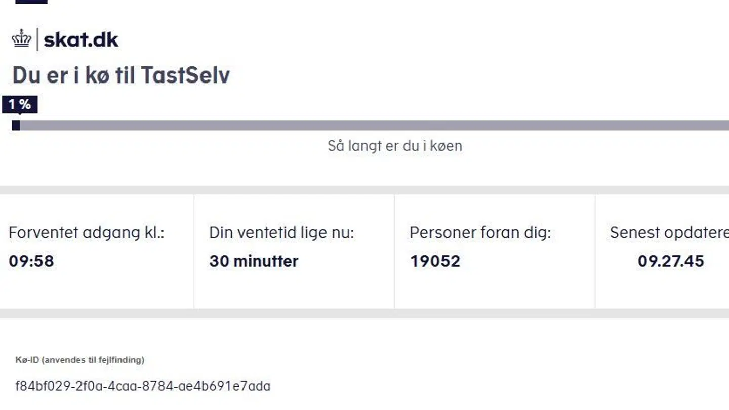 Så mange står i kø kort før klokken 09.30.