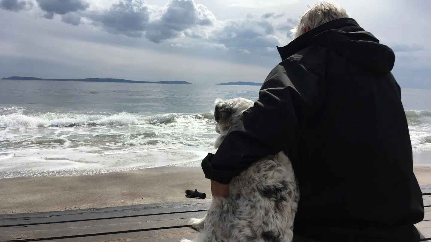 René Verlaan kan ikke give slip på minderne om sit gamle liv. Sin gamle Lisa. Men håbet svinder ind for dem begge.