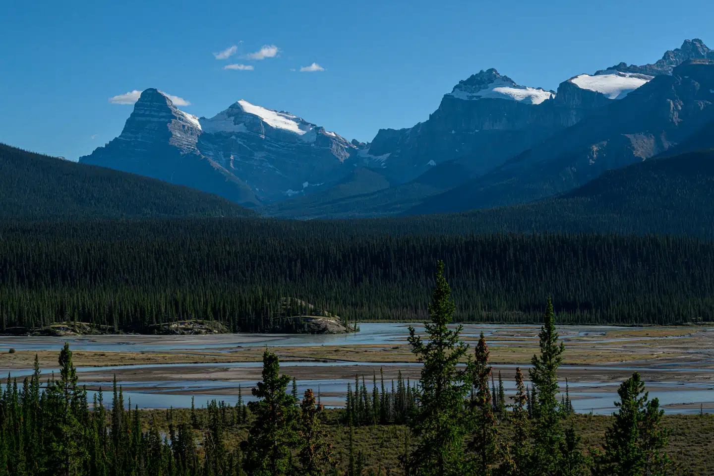 I boreale skovområder, som her i Canada, vil det ikke gavne klimaet at plante flere træer. Det viser nyt studie. Foto: Ed Jones, Scanpix