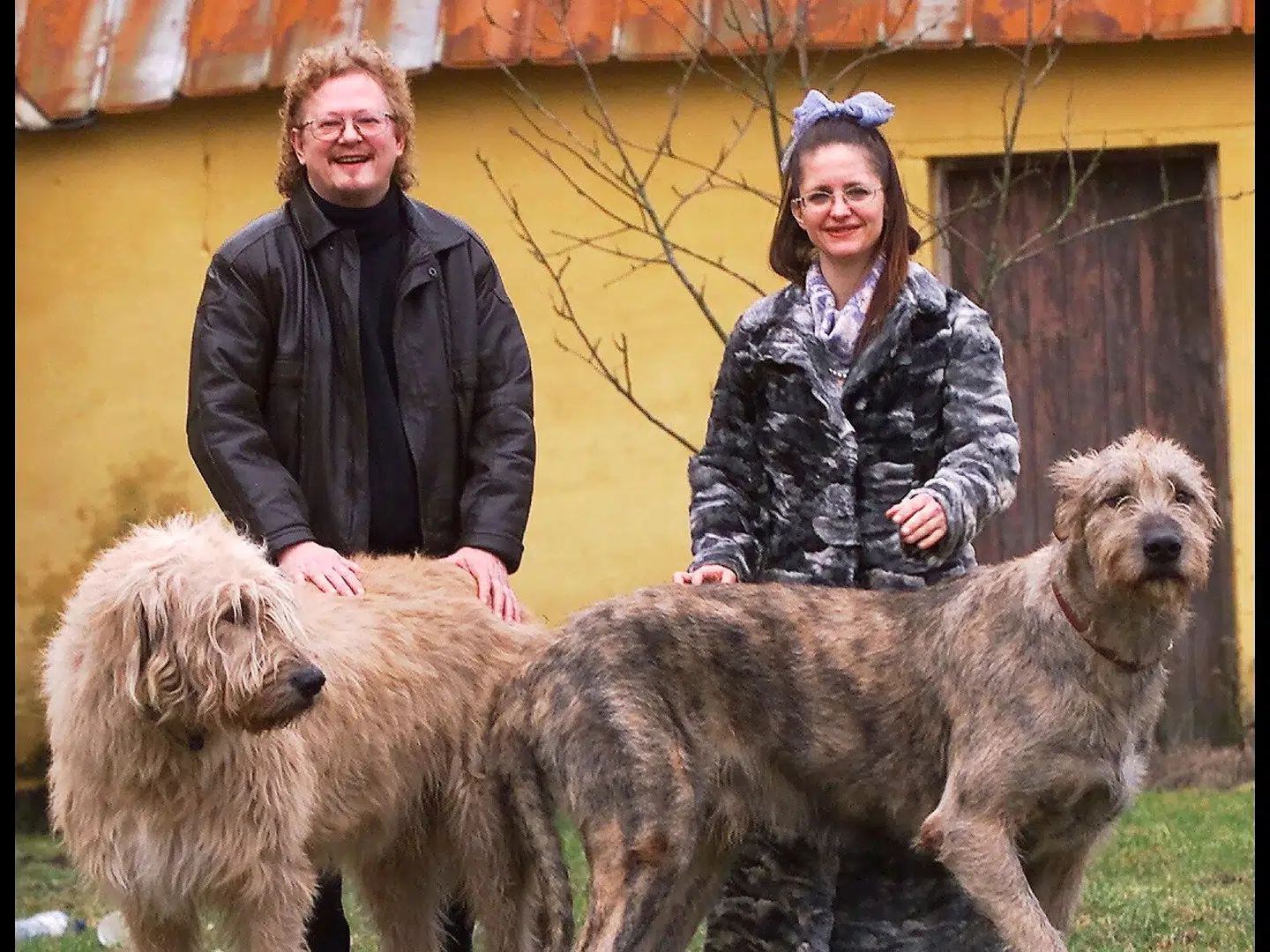 Sussi og Leo med to af deres i alt tre irske ulvehunde.