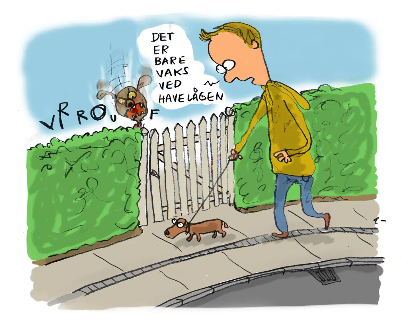 Det er ikke alle, der har lige godt styr på den med havelågen. For er man vaks, klar, eller hurtig? Mange danskere blander flere udtryk sammen.